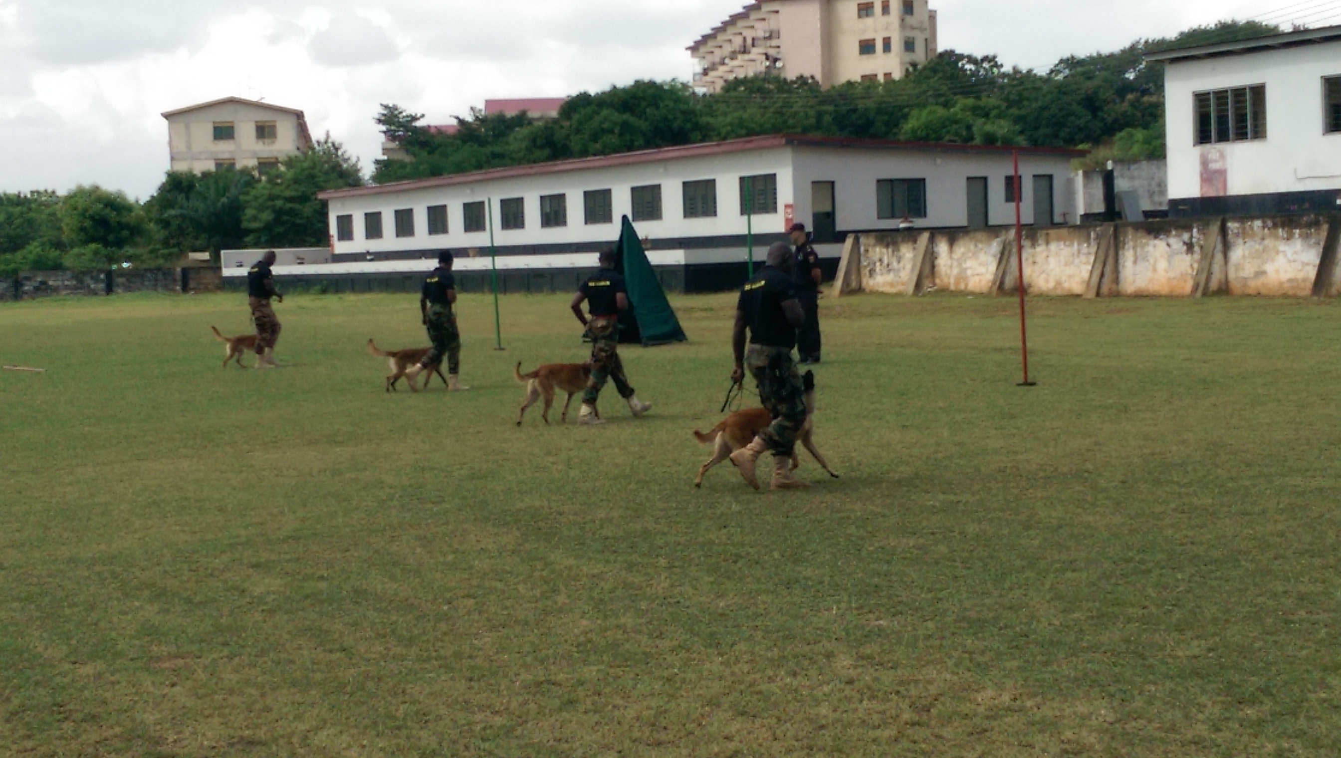 NACOB partners UN Agency to train dogs to counter organized crime - Starr 103.5 FM